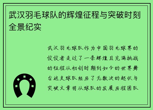 武汉羽毛球队的辉煌征程与突破时刻全景纪实