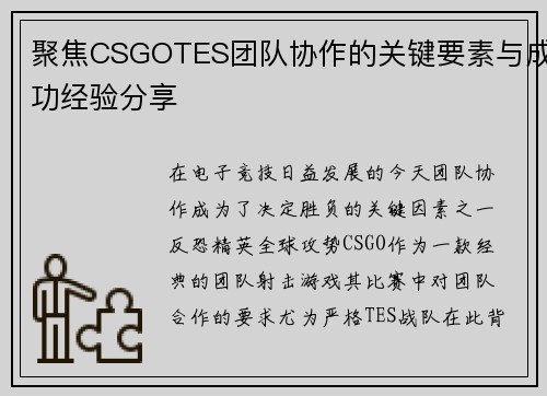 聚焦CSGOTES团队协作的关键要素与成功经验分享